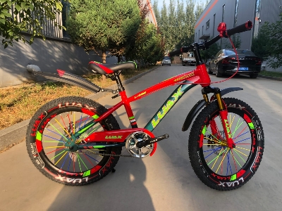 Picture of 20 Inch Mountain Bicycle with Hydraulic Brake, Front Suspension, Mudguard & Chain Guard – Durable Kids & Teen Cycle