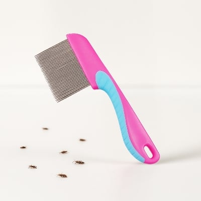 Picture of Long Non slip Handle Short Stainless Steel Hair Lice(1pcs)