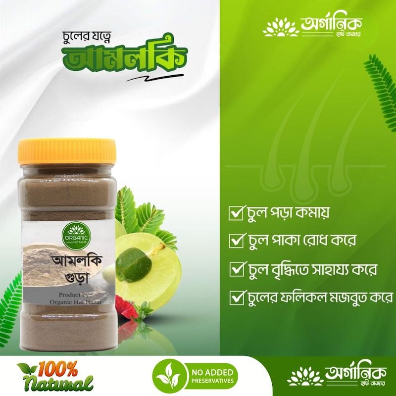 Picture of Amloki Powder / Amla Powder - 100gm