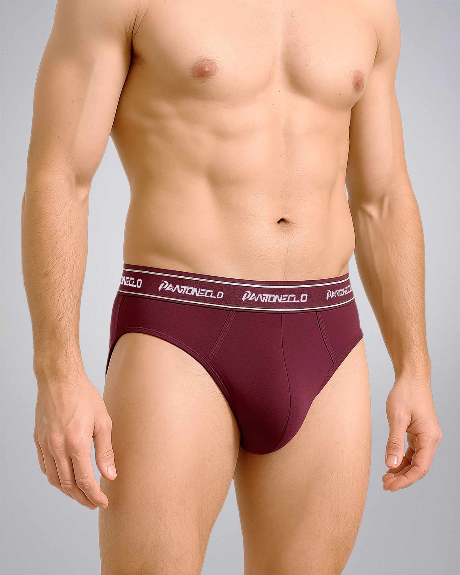 Picture of Pantoneclo Men's Brief Underwear | Soft & Stretchable Briefs for Men | Comfortable Innerwear