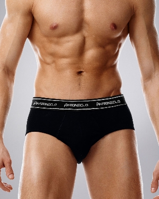Picture of Pantoneclo Men's Brief Underwear | Soft & Stretchable Briefs for Men | Comfortable Innerwear