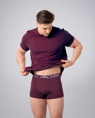 Picture of Pantoneclo Men's Boxer Underwear | Soft & Stretchable Boxer Briefs for Men | Comfortable Innerwear