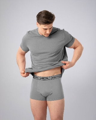 Picture of Pantoneclo Men's Boxer Underwear | Soft & Stretchable Boxer Briefs for Men | Comfortable Innerwear