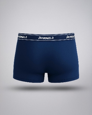 Picture of Pantoneclo Men's Boxer Underwear | Soft & Stretchable Boxer Briefs for Men | Comfortable Innerwear