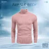 Picture of Turtle Neck Premium Rib Fabrics Sweater For Men | MF-611