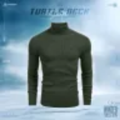 Picture of Turtle Neck Premium Rib Fabrics Sweater For Men | MF-615