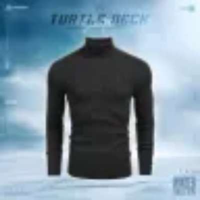 Picture of Turtle Neck Premium Rib Fabrics Sweater For Men | MF-616