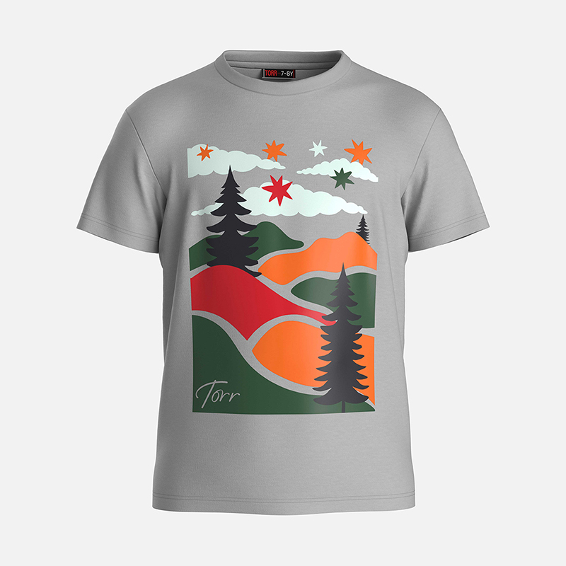 Picture of TORR Light Grey Boys T-shirt