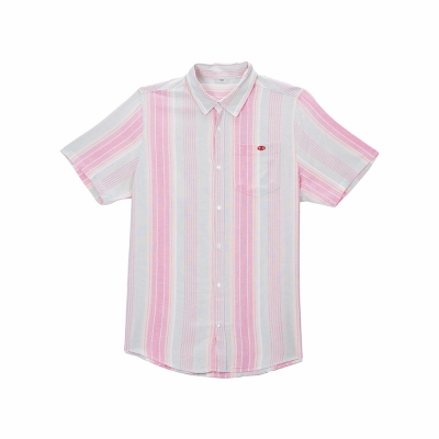 Picture of TORR Pink Stripe Men's Shirts