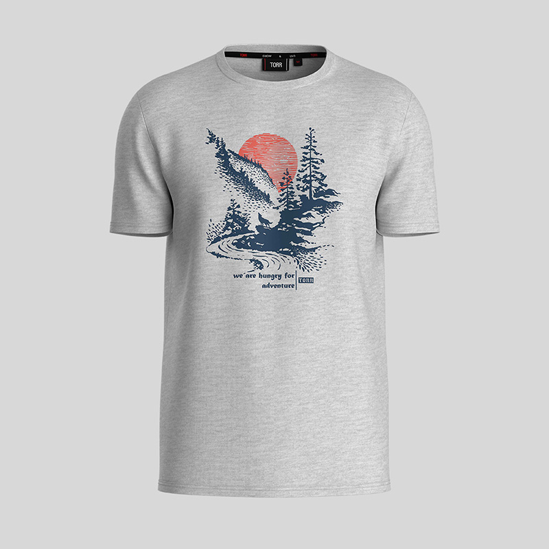 Picture of TORR Light Grey Men's T-shirt