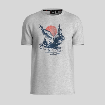 Picture of TORR Light Grey Men's T-shirt