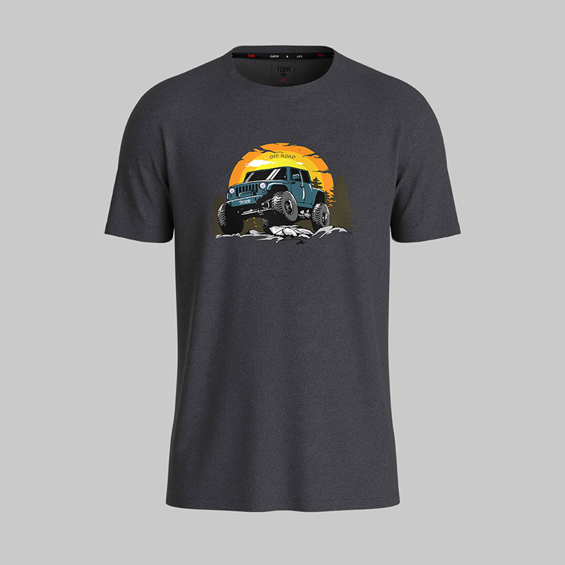 Picture of TORR Classic Pewter Men's T-shirt