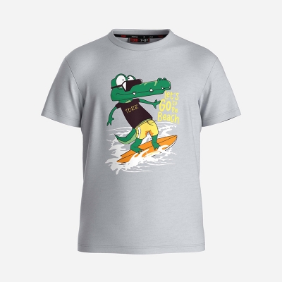 Picture of TORR Grey Boys T-shirt