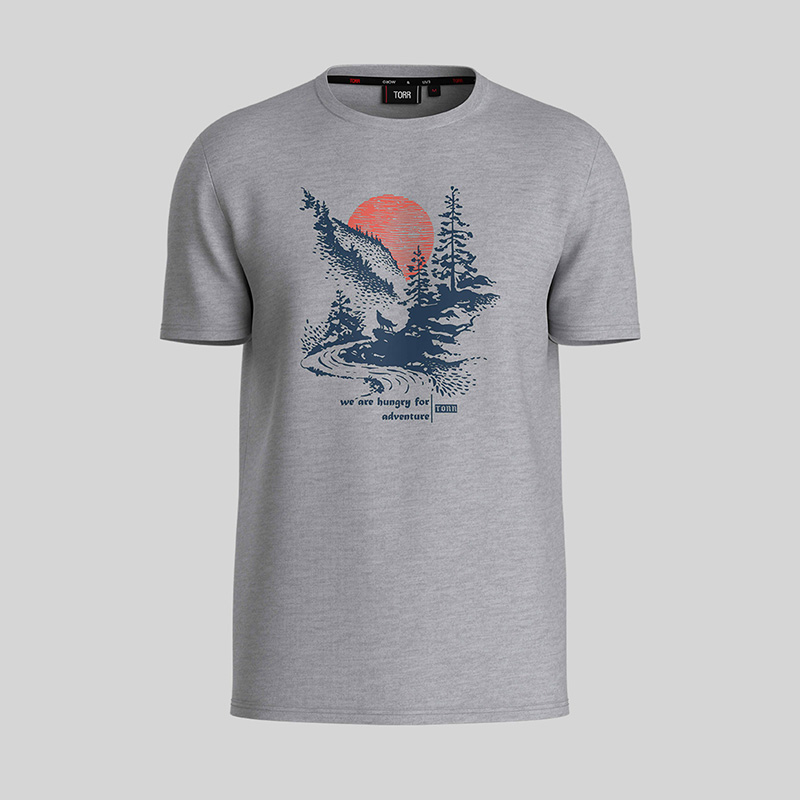 Picture of TORR Grey Men's  T-shirt