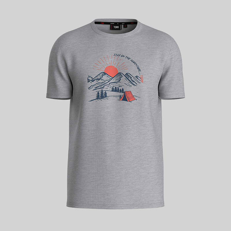 Picture of TORR Grey Men's T-shirt