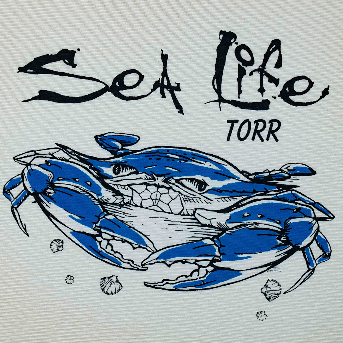 Picture of TORR Ivory Boys T-shirt