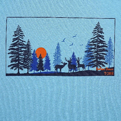 Picture of TORR Sky Way Men's  T-shirt