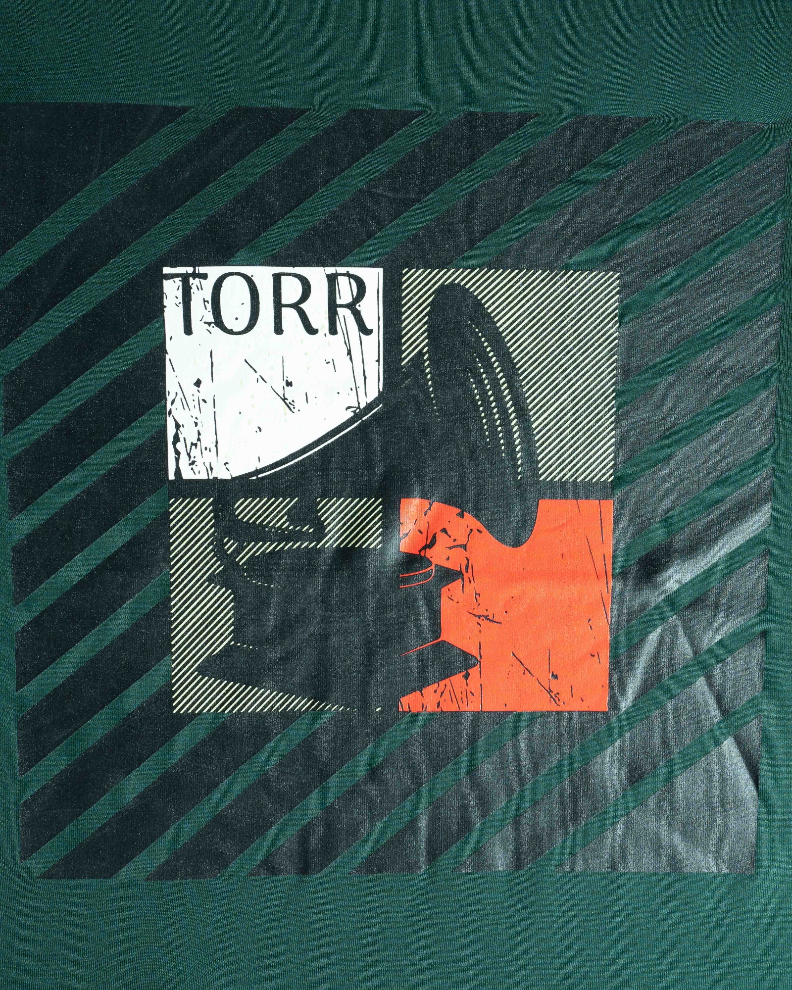 Picture of TORR Pine Green Men's T-shirt