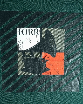 Picture of TORR Pine Green Men's T-shirt