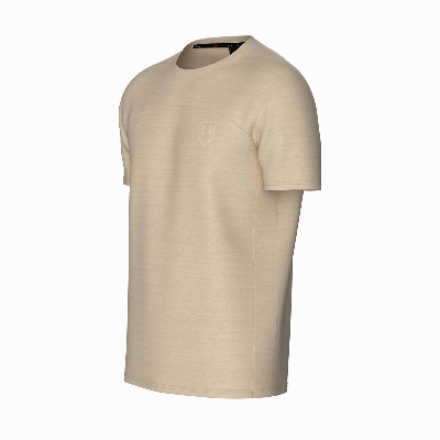 Picture of TORR Brown Mell Men's Activewear T-shirt