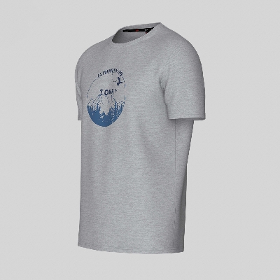 Picture of TORR Grey Men's  T-shirt