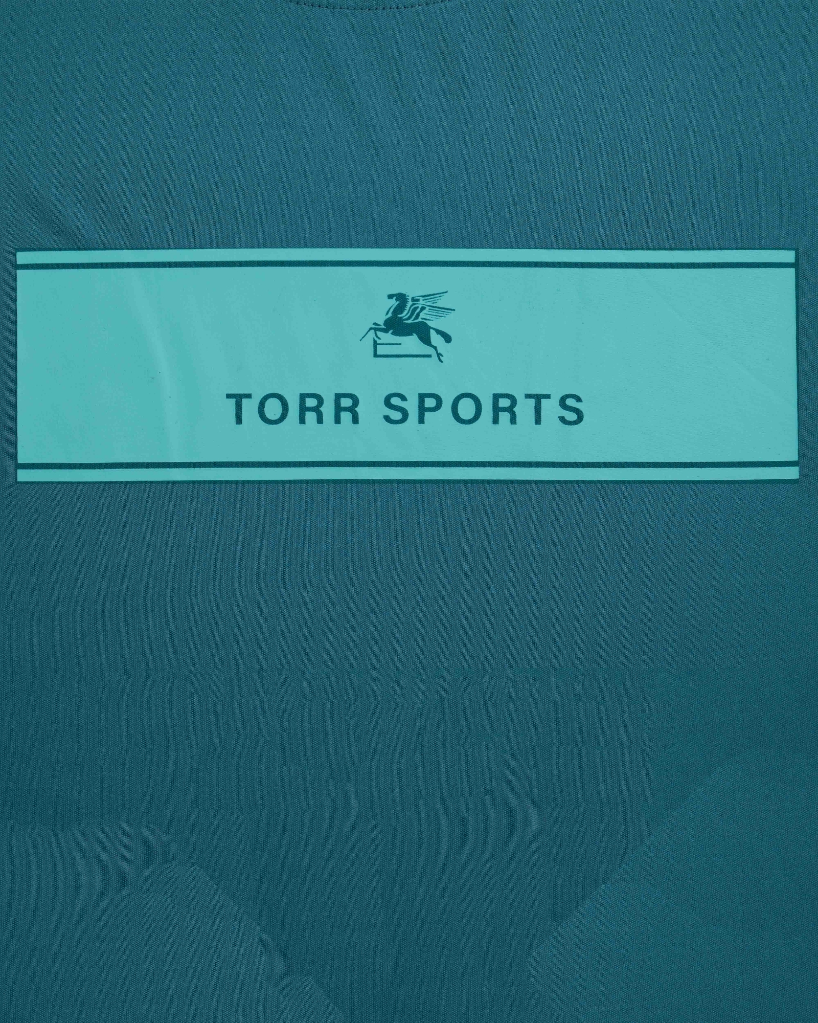 Picture of TORR DOLPHIN Men's  T-shirt