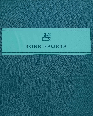Picture of TORR DOLPHIN Men's  T-shirt