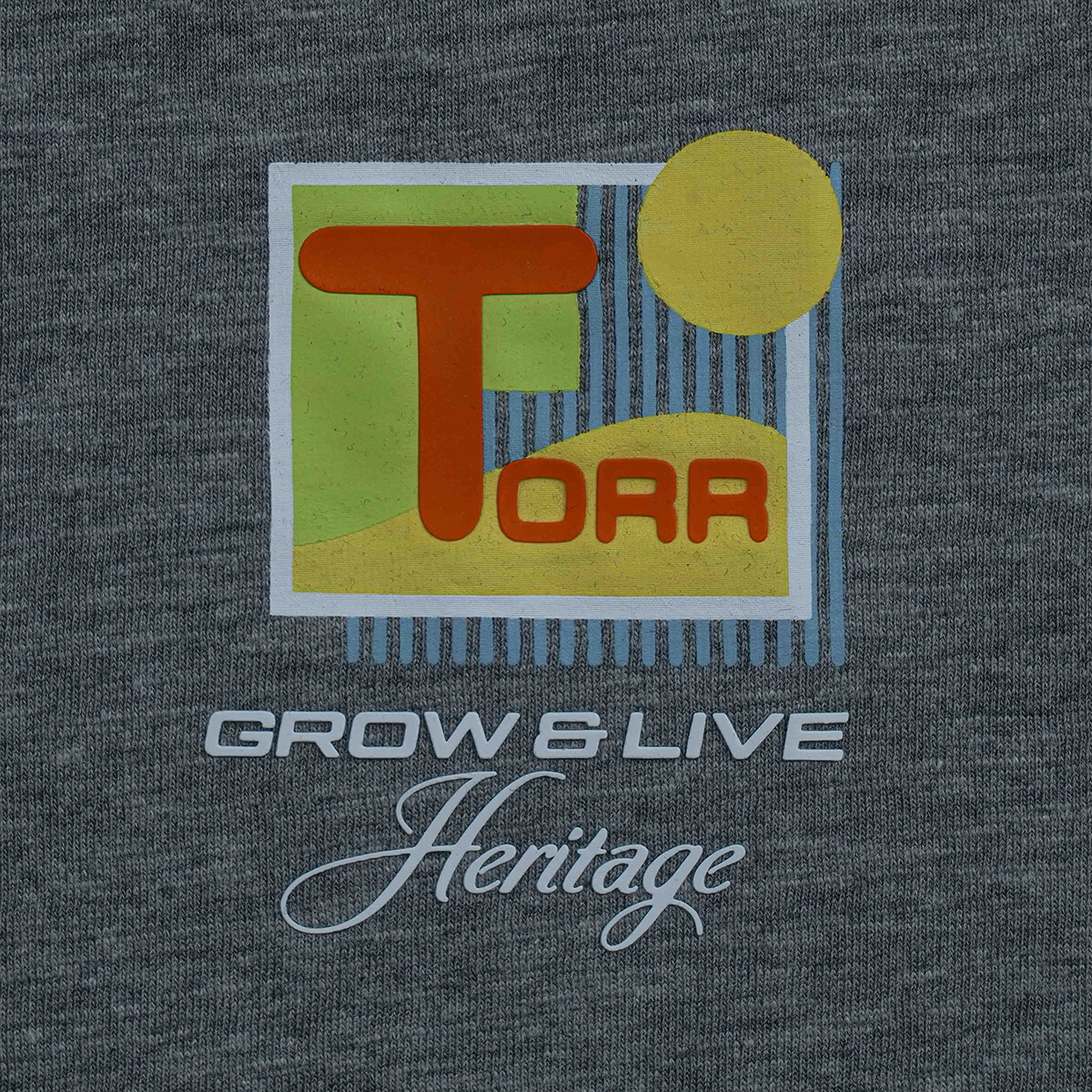 Picture of TORR Ash Men's T-shirt