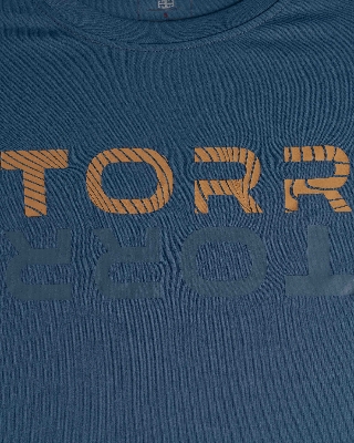 Picture of TORR DOLPHIN Men's  T-shirt