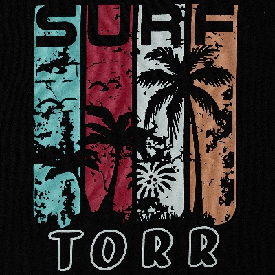 Picture of TORR Black Men's  T-shirt