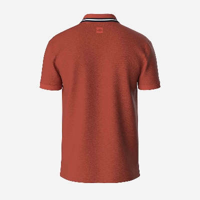 Picture of TORR Baked Apple Premium Polo