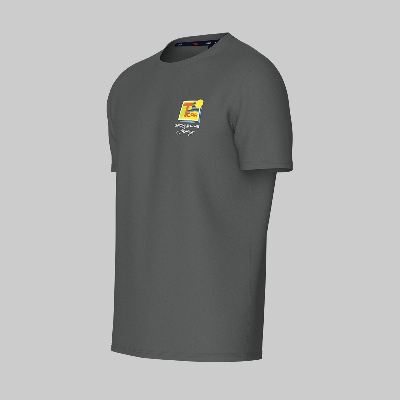 Picture of TORR Dark Grey Men's T-shirt