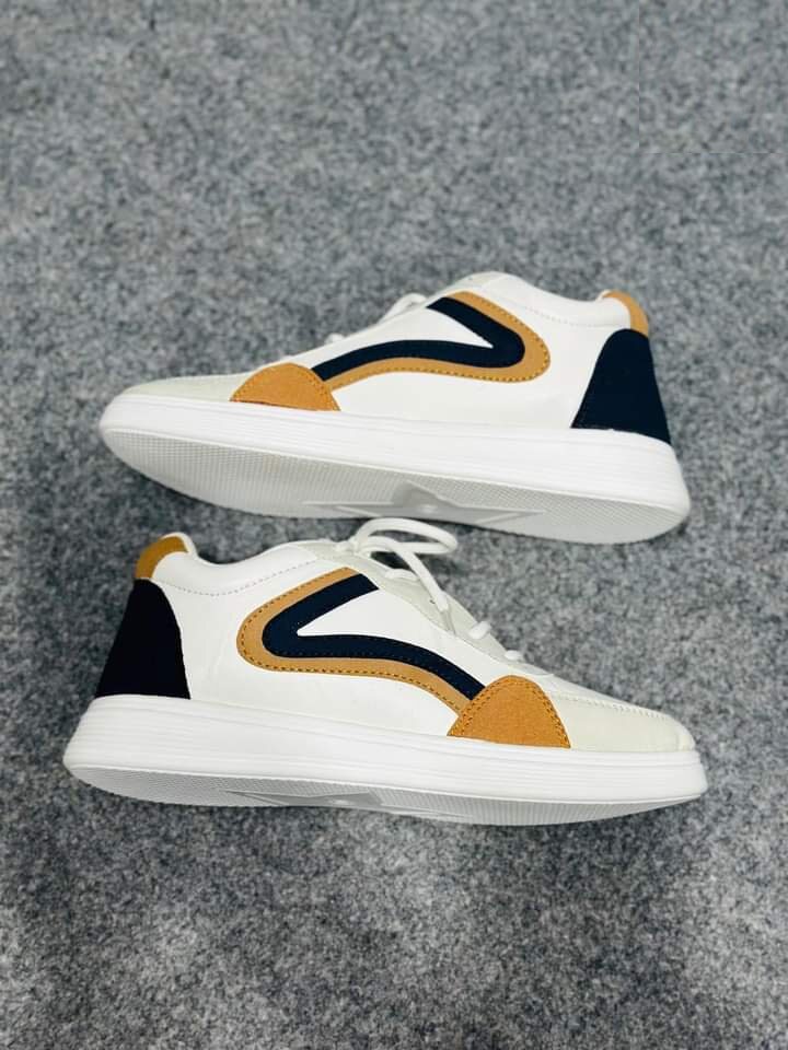 Picture of 7 Piece Cotton Panty For Girls/Women  (Export quality With Premium Box)