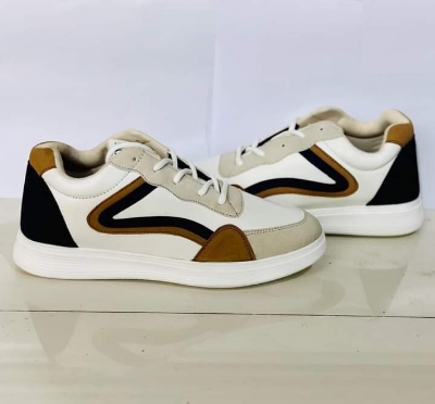 Picture of 7 Piece Cotton Panty For Girls/Women  (Export quality With Premium Box)