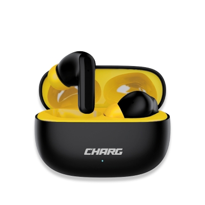 CHARG BASS TWS