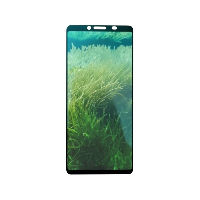 Picture of For Sony Xperia 10 II Gorila Glass Tempered Glass Screen Protector Sony Xperia 10 II Tempered Glass Premium Sony Xperia 10 ii Sony 10 Mark 2