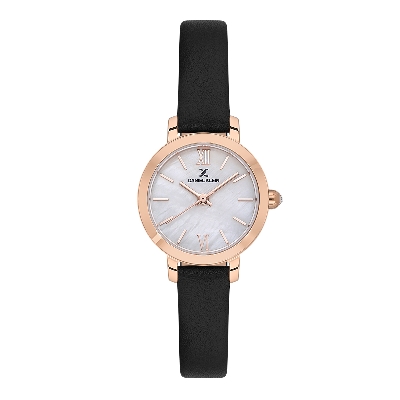 Picture of Daniel Klein Watches for Ladies (DK.1.13780-6)