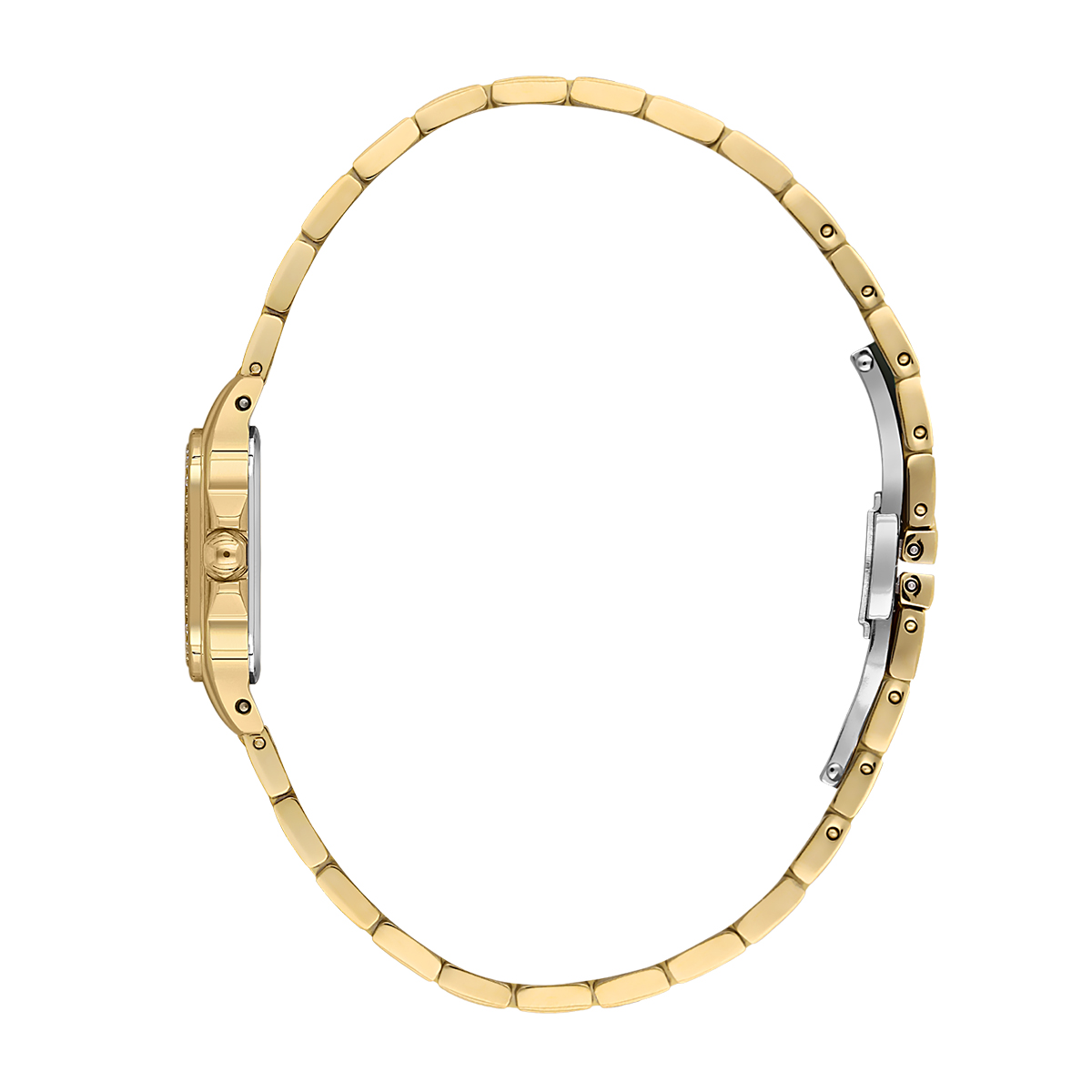 Picture of Santa Barbara Polo & Racquet Club Watches for Ladies (SB.1.10597-3)