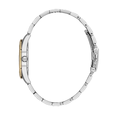 Picture of Daniel Klein Watches for Ladies (DK.1.13763-5)