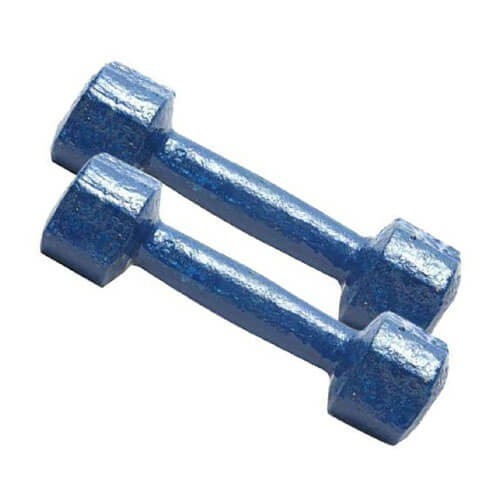 Picture of 4kg Navy Blue Dumbbell Set - 1 Pair - Made in Bangladesh