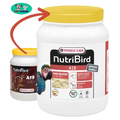 Picture of Versele-Laga A19 Hand Feeding Formula 800gm