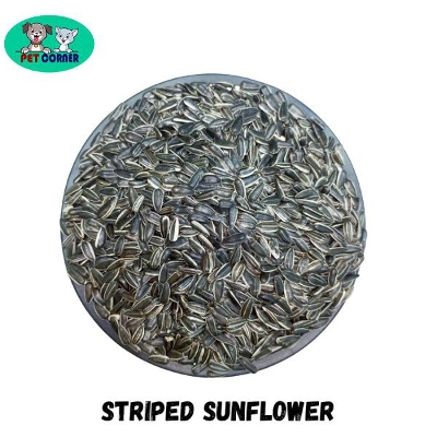 Picture of Striped Sun Flower Seeds For Bird 1 kg