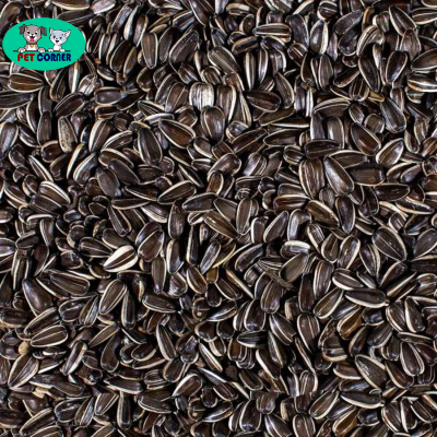 Picture of Natural Fresh Striped Sunflower Seeds for Bird 250gm
