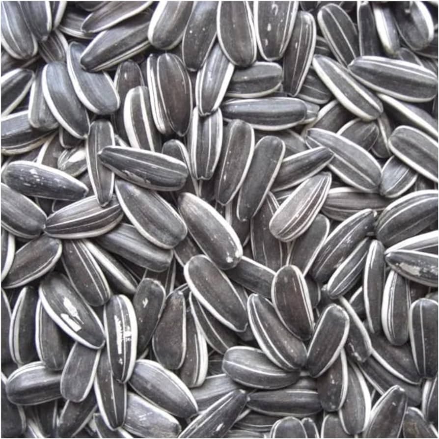 Picture of Natural Fresh Striped Sunflower Seeds for Bird 250gm