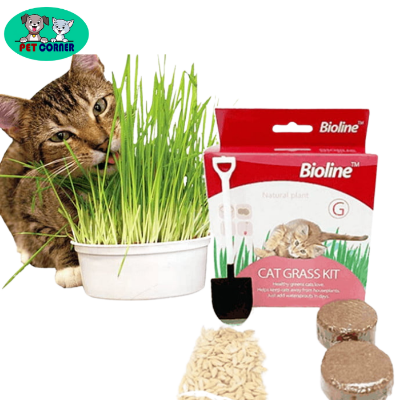 Picture of Bioline Cat Grass Kit for Cat Digest 12gm