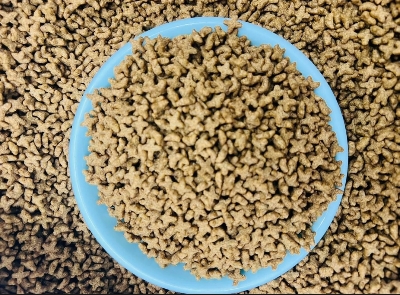 Picture of Repack Loose Cat Food For All Age Cats 1 kg (SmartCat)