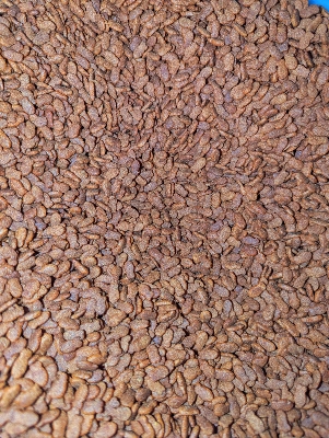 Picture of Mow Mow Repack Loose Cat Food Tuna Flavour 1 kg