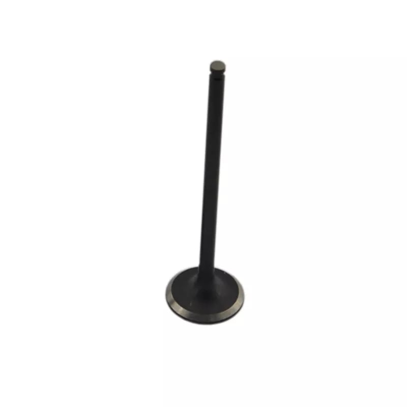 Picture of Motorcycle Engine Valve For Hero Hunk Motorcycle