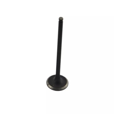 Picture of Motorcycle Engine Valve For Hero Hunk Motorcycle