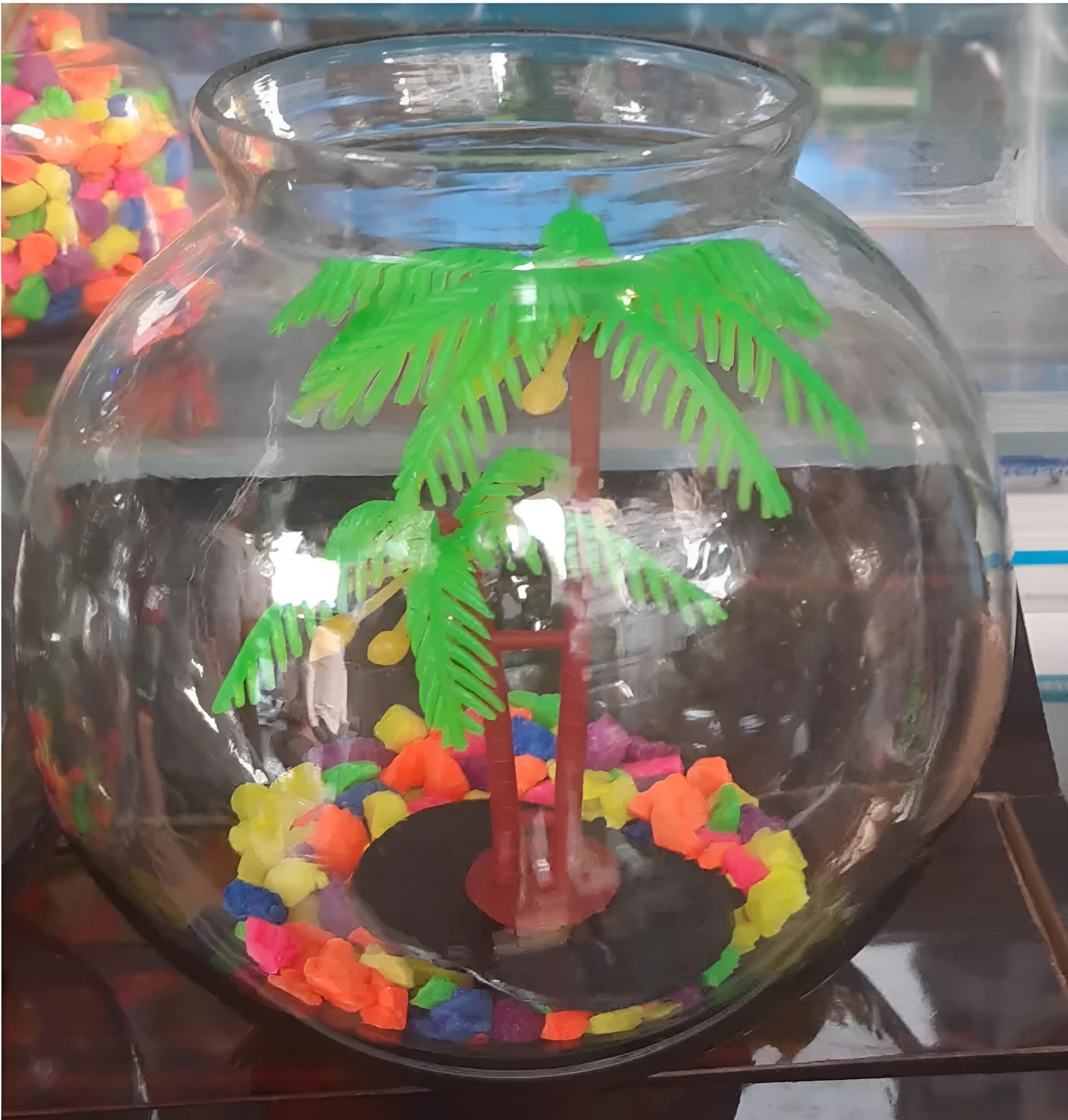 Picture of Glass Fish Bowl With Colorful Stones & Tree Aquarium, Fishbowl, Cat Fishbow, Cat Fishbow, Round Fish Bowl, Glass Fish Bowl, Clear Acrylic, Explosion-proof Fish Bowl, House Plant Container, Polycarbonate Pot, Underwater, Large Made in Bangladesh